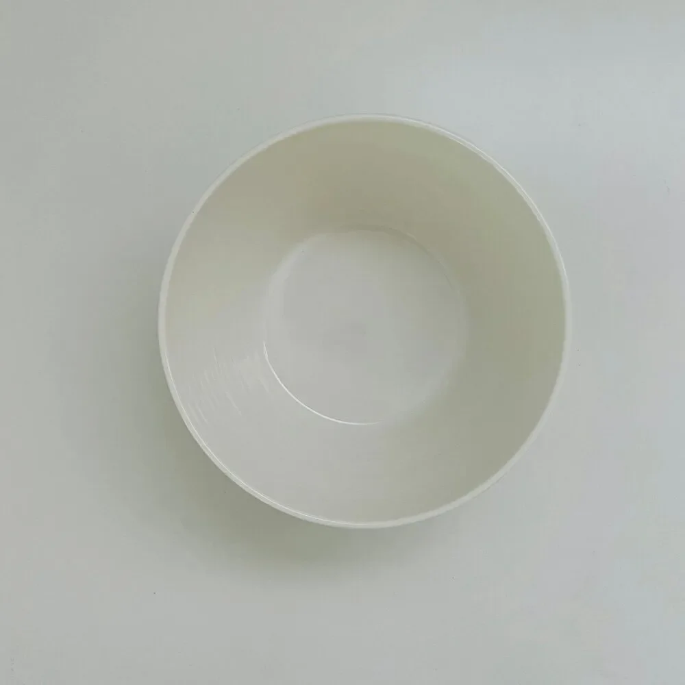 ROYAL DOULTON Pacific Blue Lines Cereal Bowl